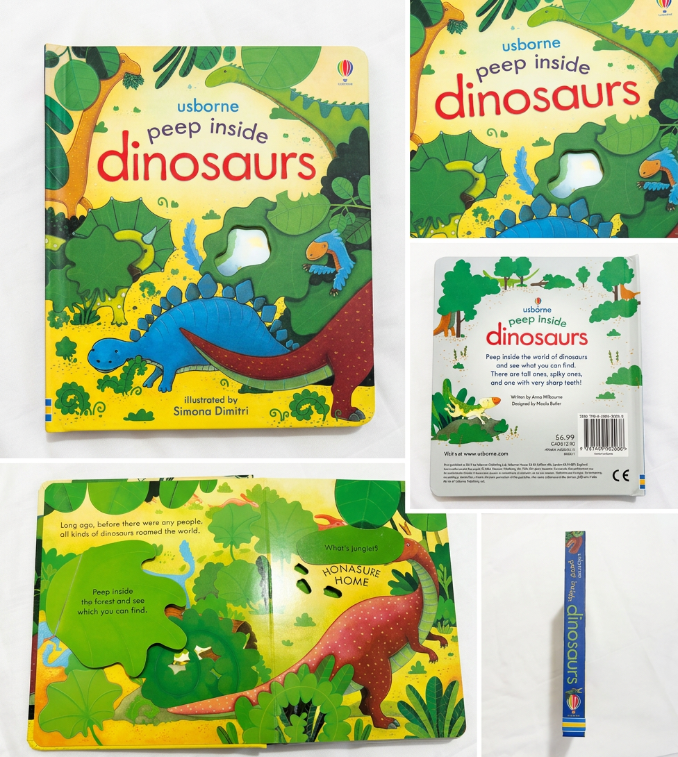 peep inside the Dinosaurs 英語絵本